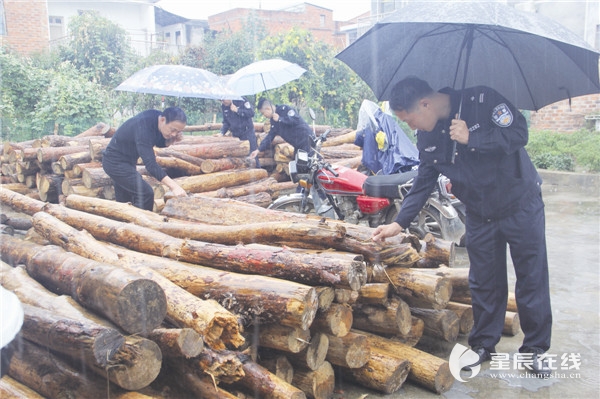 郑讯"这下明白了,死树也不能乱砍,这种有松材线虫病的树更不能随便砍