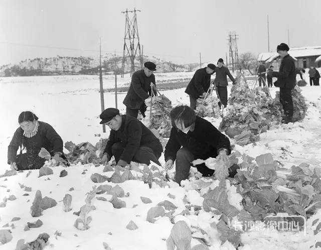 长沙终于下雪啦!但论好看,还是1900和1964故乡的雪超赞|老照片奉上