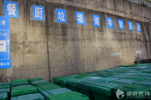 餐厨垃圾该如何处置,国内外专家来长共议资源化处理技术和管理模式