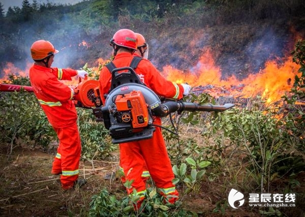 (在长沙市举办的森林火灾应急预案演练中,消防队员正在全力灭火.