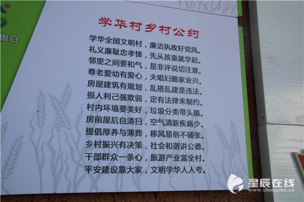 移风易俗岳麓篇丨开展志愿服务制定村规民约学华村多项举措践行文明