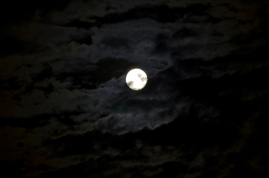 星辰文艺丨青梅:一个星月相辉的夜晚