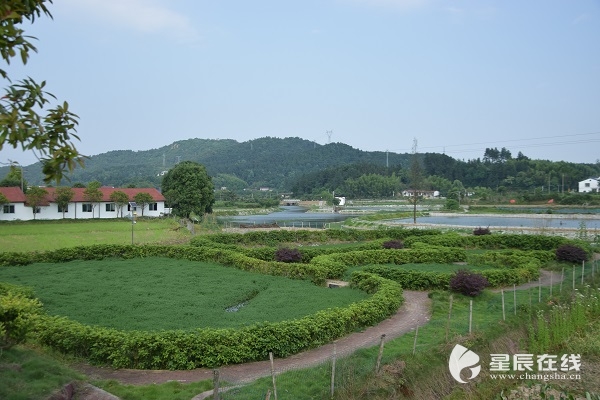 省级美丽乡村示范村,这里是岳阳市华容县三封寺镇华一村,一排排白墙