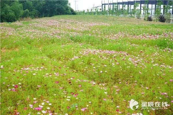 疯狂猜成语2什么蜂蝶_游戏新闻资讯_游戏鸟